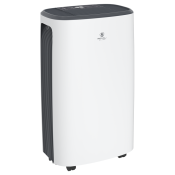 Бытовые осушители воздуха ROYAL CLIMA RD-CR20-E
